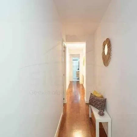 Camino By Silastur 希洪