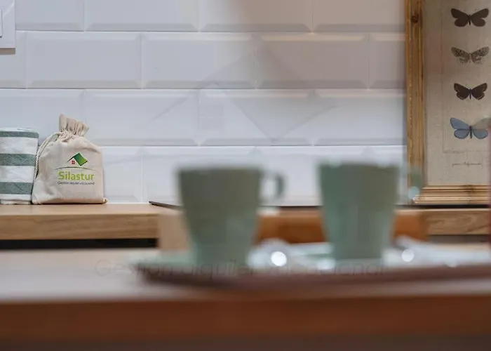 Camino By Silastur Gijón